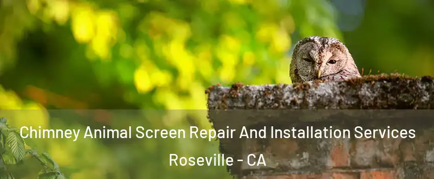 Chimney Animal Screen Repair And Installation Services Roseville - CA