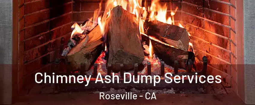 Chimney Ash Dump Services Roseville - CA