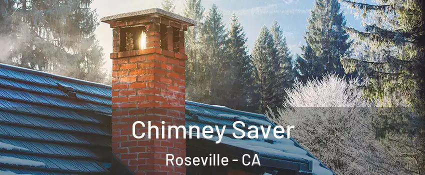 Chimney Saver Roseville - CA
