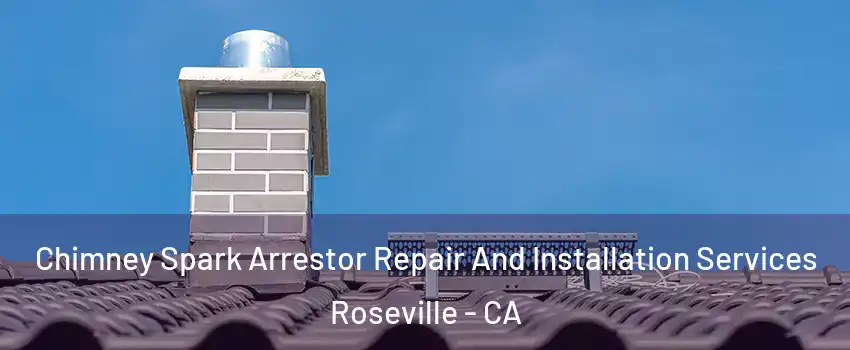 Chimney Spark Arrestor Repair And Installation Services Roseville - CA