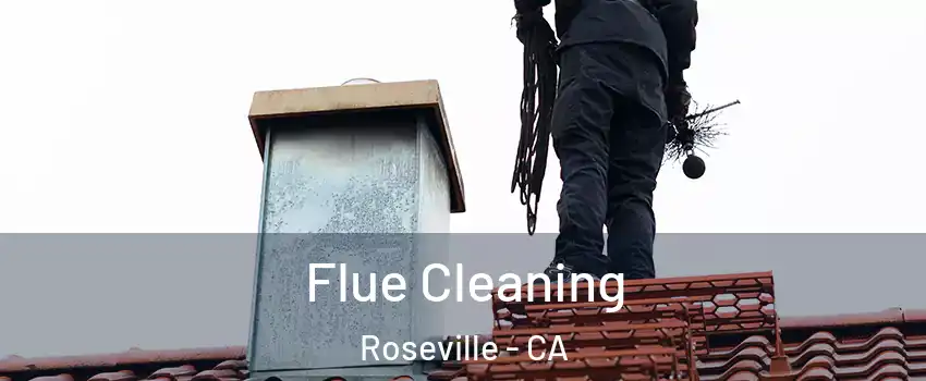 Flue Cleaning Roseville - CA
