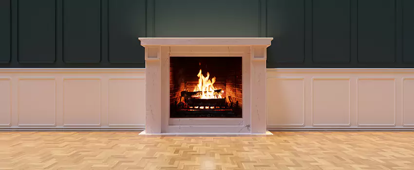 Napoleon Electric Fireplaces Inspection Service in Roseville, California