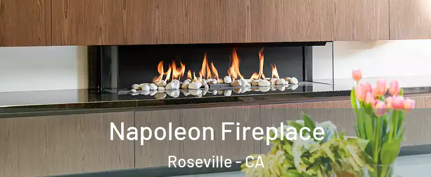 Napoleon Fireplace Roseville - CA